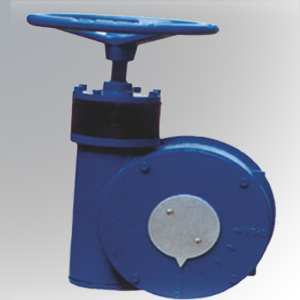 Butterfly Valve Gear box